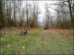 IMG_20160124_160816727_01
