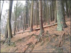 IMG_20160131_143053306_01