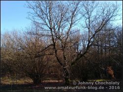IMG_20160206_150306033_01
