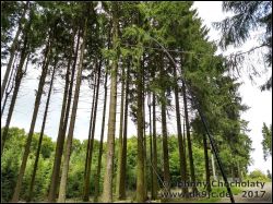 IMG_20170819_134832618_HDR_01