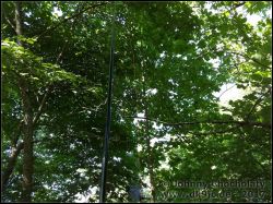 IMG_20170624_163648604_01