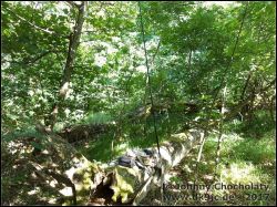 IMG_20170624_165540637_01