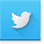 Twitter Social Icon